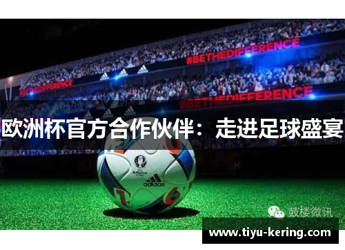 欧洲杯官方合作伙伴：走进足球盛宴