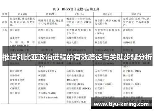 推进利比亚政治进程的有效路径与关键步骤分析