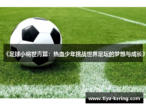 《足球小将世青篇：热血少年挑战世界足坛的梦想与成长》