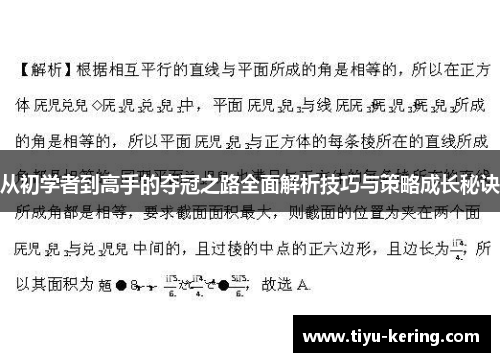 从初学者到高手的夺冠之路全面解析技巧与策略成长秘诀